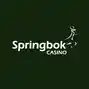 image for springbok casino logo